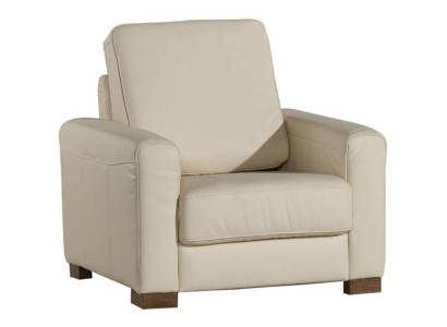 Sessel Einsitzer Lounge Sofa Fernseh Einsitzer Couch Wohnzimmer Möbel Sofas Neu